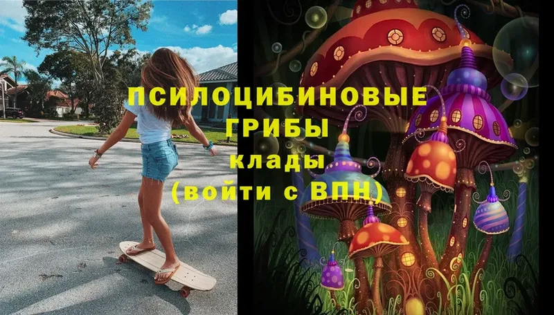 Псилоцибиновые грибы Cubensis  как найти закладки  Калтан 